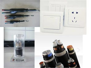 山東陽谷電纜集團(tuán)與綠燈行電纜集團(tuán) 深耕電力電纜領(lǐng)域的卓越力量